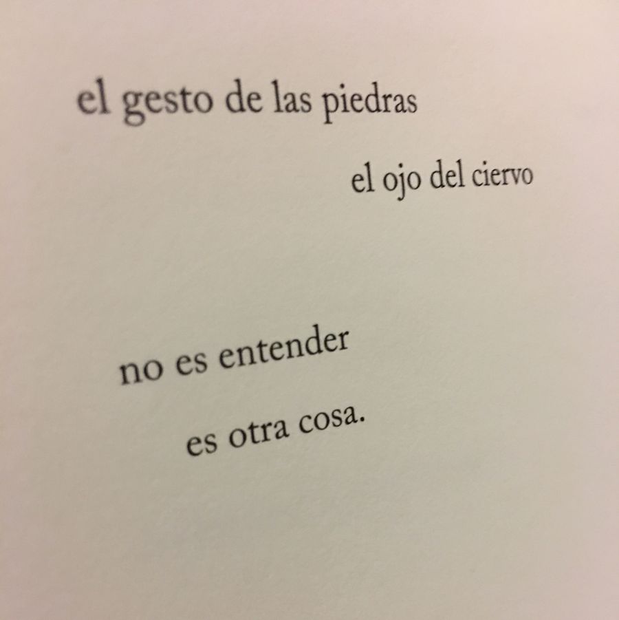 Casi la caída, de Almudena Vega, poema