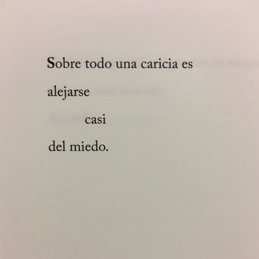 Casi la caída, de Almudena Vega, poema